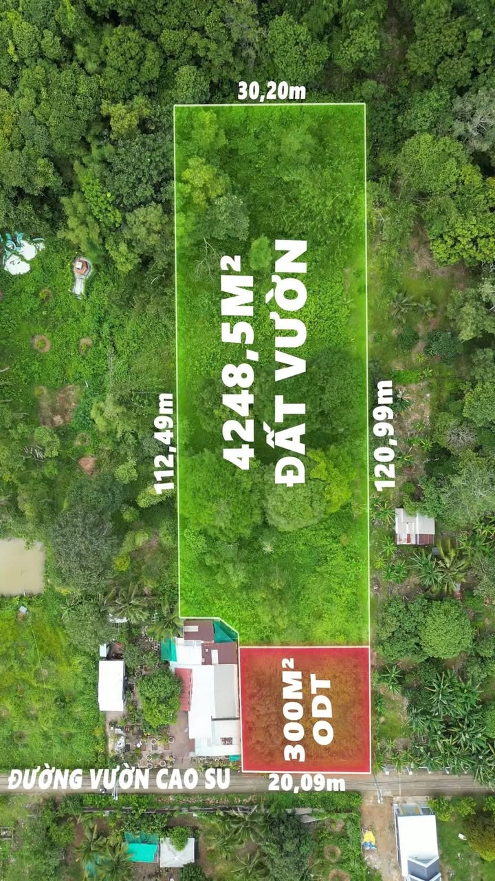 Đất nền đường Cao Su, phường Tô Châu 4548m² giá 3.7 tỷ - Vị trí đắc địa gần trung tâm!