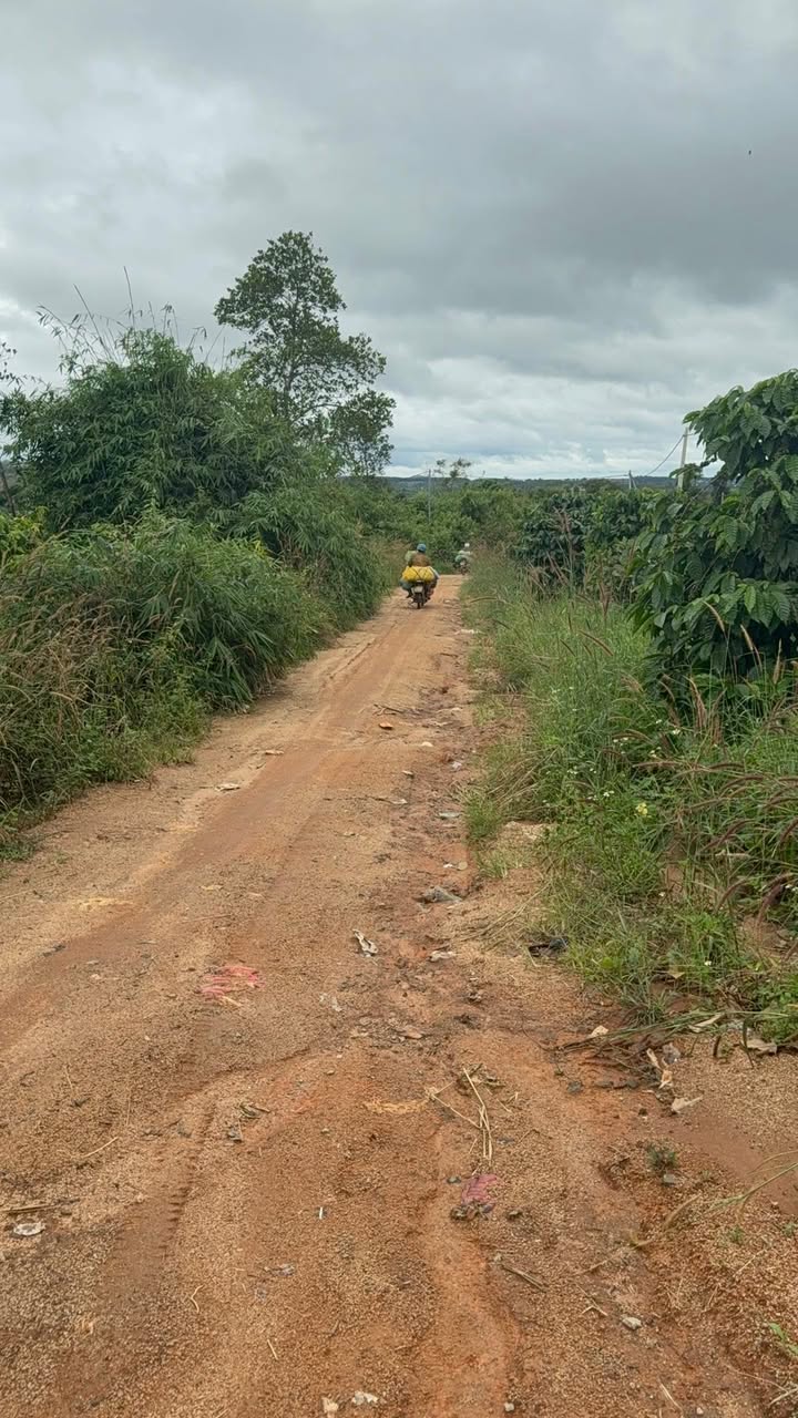 Đất nông nghiệp 7500m² tại Ea Khal, Đắk Lắk - Giá 2.2 tỷ, pháp lý rõ ràng!