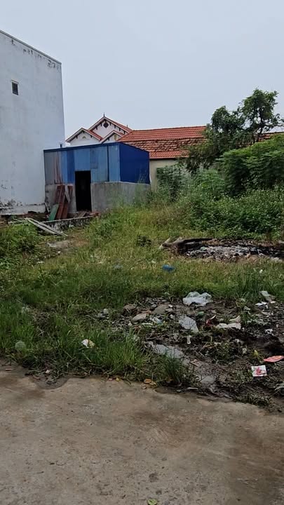 Đất Ngũ Lão - Thủy Nguyên 124m² giá 2.2 tỷ - Vị trí đẹp, tiện ích đầy đủ!