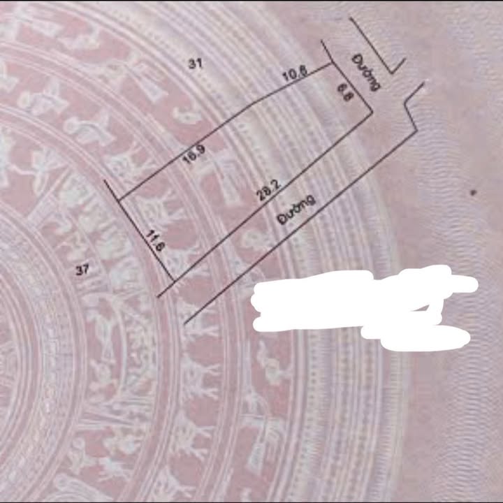 Đất nền Ngọc Lâm, Mỹ Hào 267m² giá chỉ từ 2x triệu/m² - Ô tô đỗ cửa, sẵn nhà