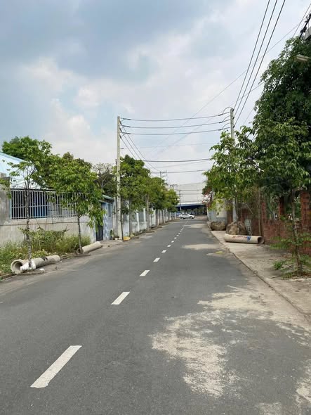 Đất nền 100m² Quốc lộ 51, Tam Phước, Biên Hòa - Sổ đỏ chính chủ chỉ 1.1 tỷ!