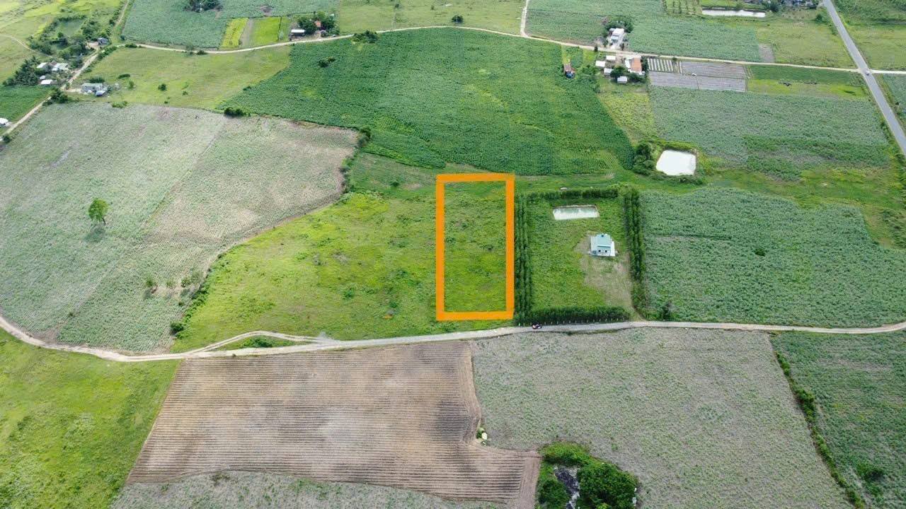 Đất Ninh Xuân, Ninh Hòa 2943m² giá chỉ 950 triệu - Đầu tư sinh lời lý tưởng!