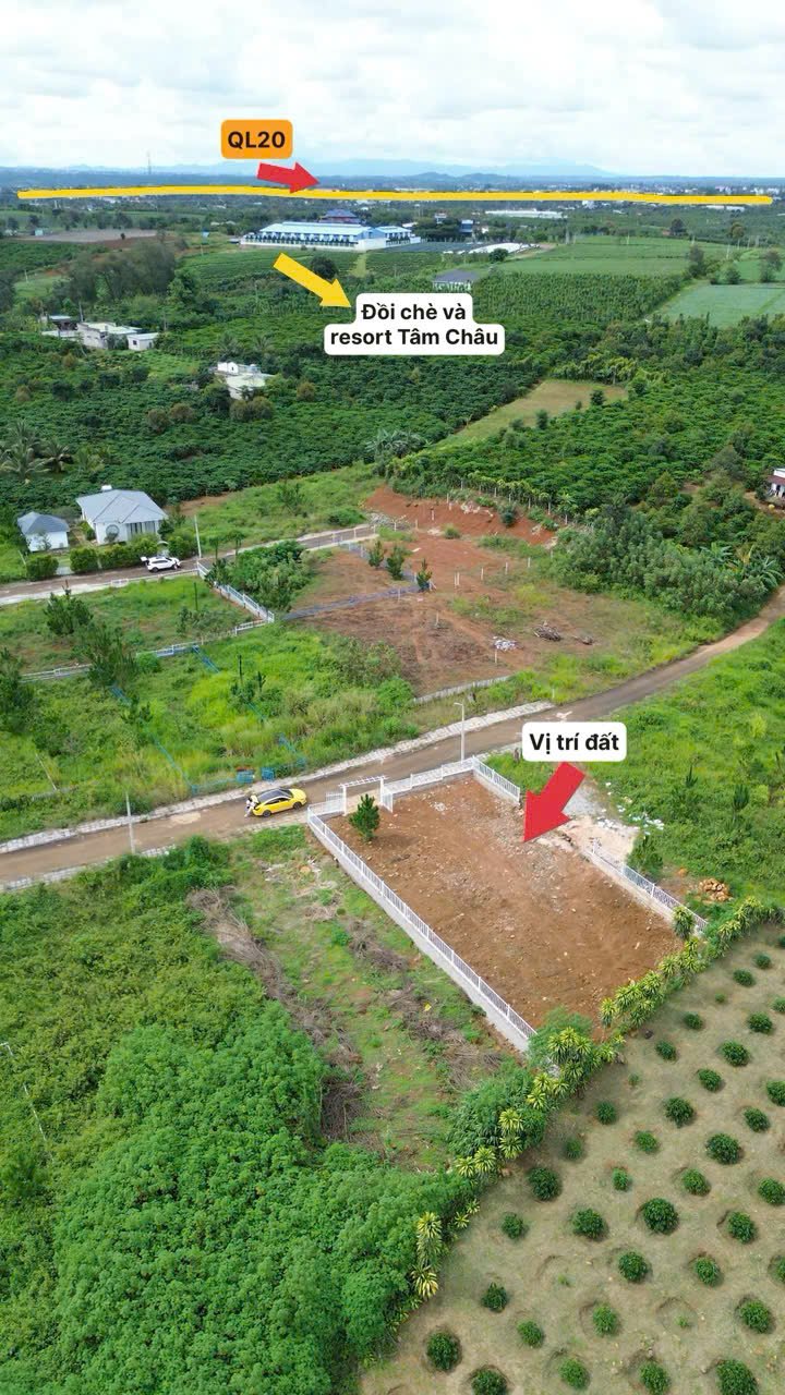 Đất biệt thự Lộc An - Bảo Lộc 515m² giá 2.45 tỷ - Cơ hội sở hữu ngay!