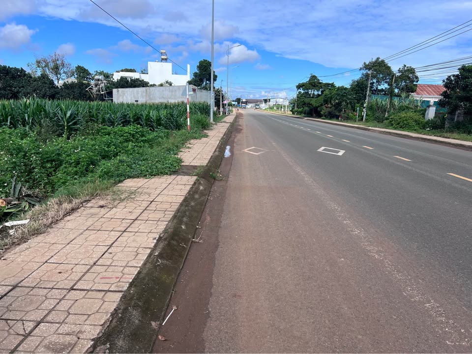 Đất nền Phú Hội, Đức Trọng 500m² giá 3.7 tỷ - Cơ hội đầu tư hấp dẫn!