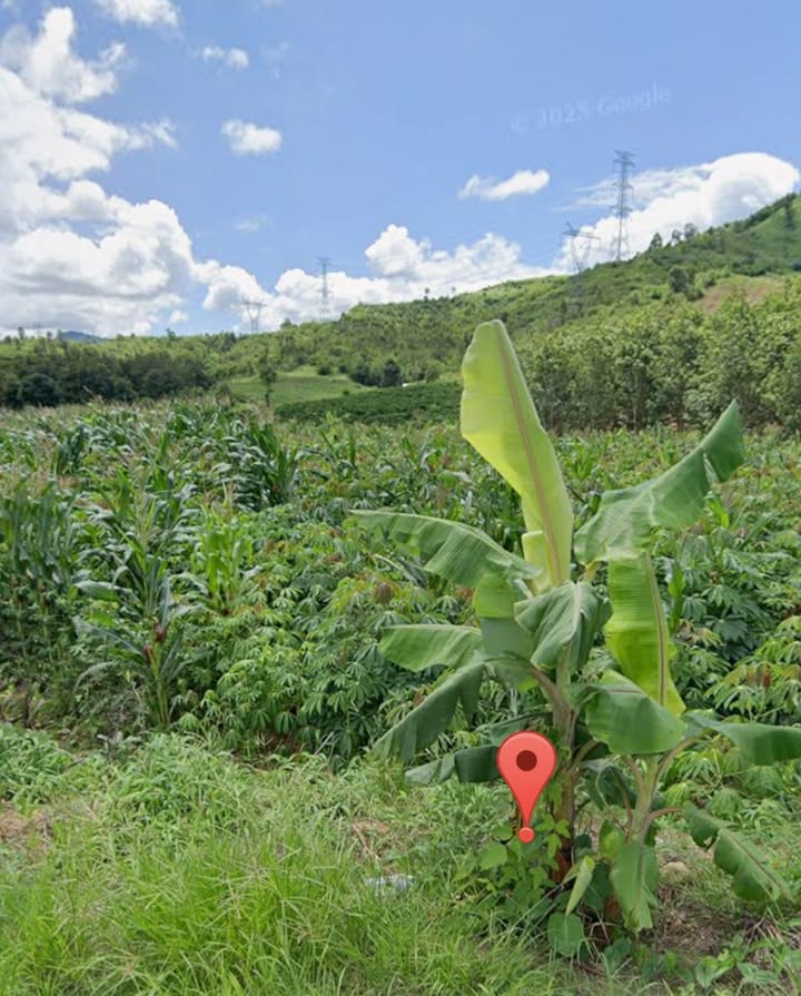 Đất thổ cư 1200m² tại Đăk Rve, giá chỉ 900 triệu - Tiềm năng đầu tư lớn!