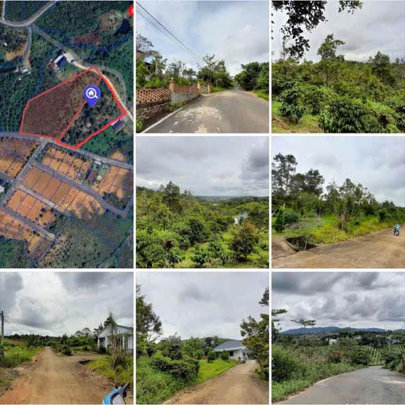 Đất nền đường Ỷ Lan, phường 3 Bảo Lộc 10.000m² giá 9.3 tỷ - Cơ hội đầu tư tốt!