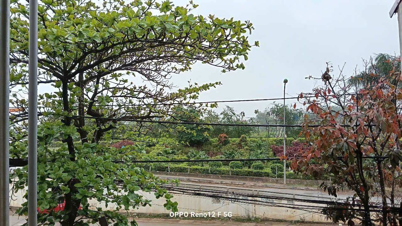 Đất mặt đường Lê Thái Tổ, xã Kim Tân, 419m² - Vị trí đắc địa, giá thương lượng!