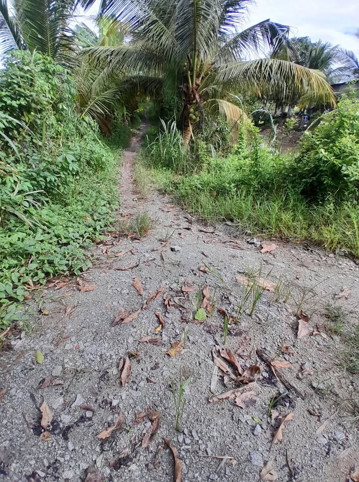 Đất nông nghiệp 13.000m² xã Óc Eo, Thoại Sơn - Giá chỉ 1.43 tỷ, mặt tiền 70m!