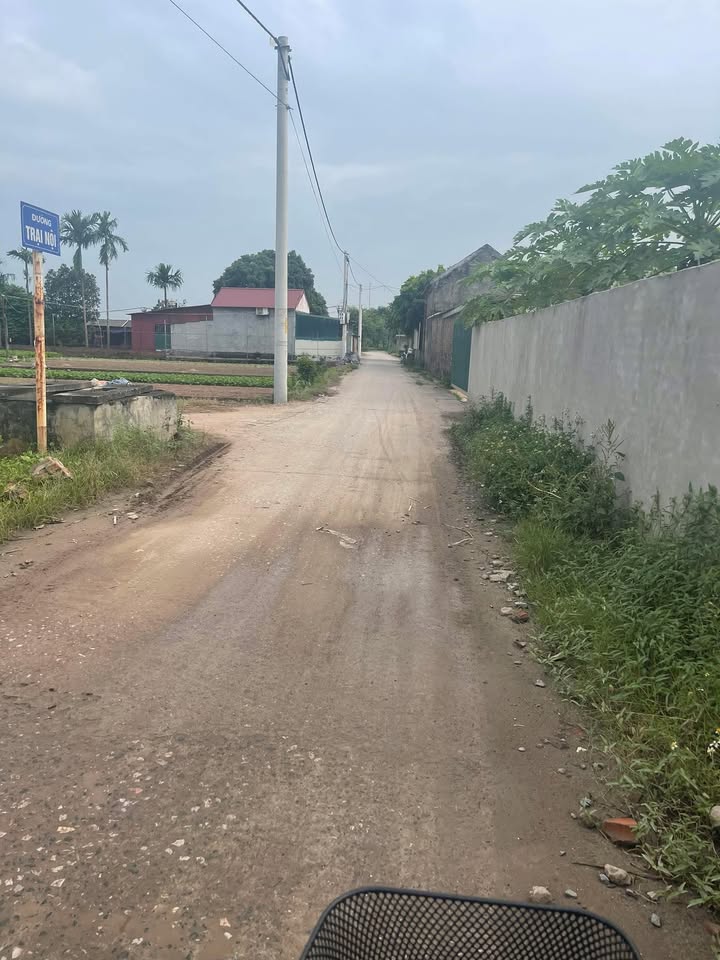 Đất vườn 800m² tại Sơn Đồng, Hà Nội - Giá thỏa thuận cực tốt!