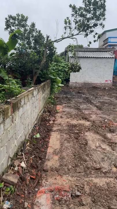 Đất nền Dân Chủ Hưng Hà 80m² giá 600 triệu - Cơ hội đầu tư tuyệt vời!