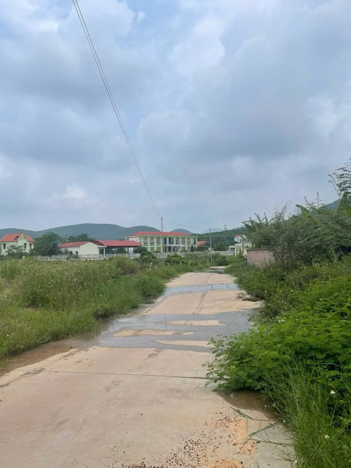 Đất nền Bắc An, Chí Linh 1238m² giá 1 tỷ - Sổ đỏ chính chủ ngay!