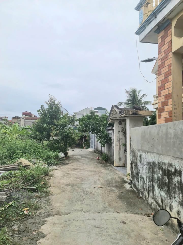 Đất thổ cư Phú Triều 62m² giá 930 triệu - Gần chợ và khu đô thị!