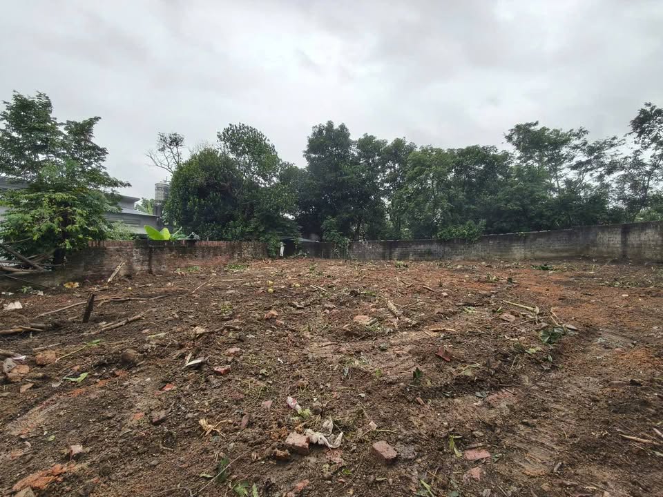 Đất nền Gia Khánh, Bình Xuyên 200m² giá 1.3 tỷ - Tiềm năng đầu tư lớn!