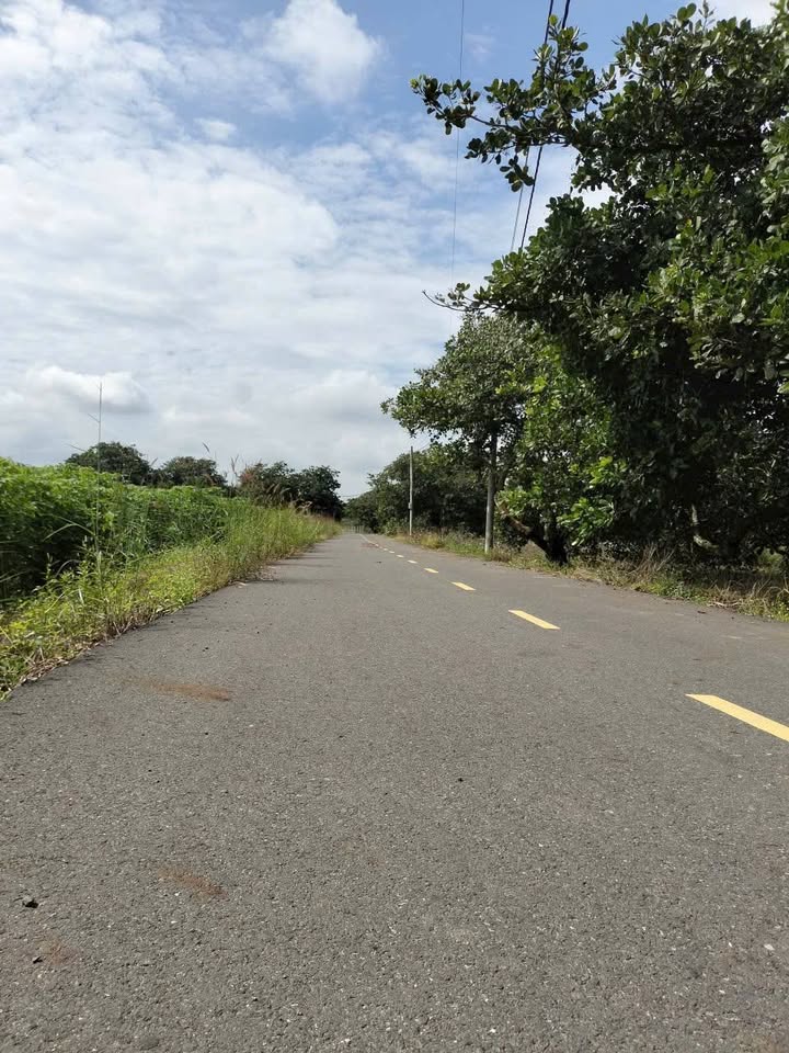 Đất nền xã Hòa Hội, huyện Xuyên Mộc, 5250m² giá 3.675 tỷ - Đầu tư sinh lời ngay!