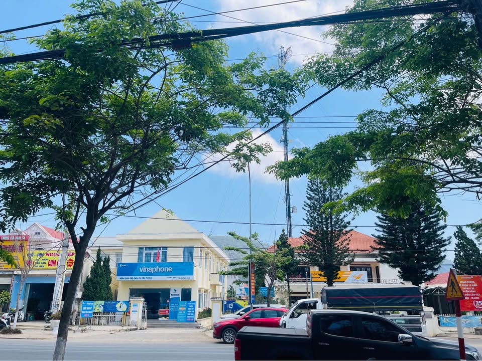 Đất nền dự án Mai Anh Đào, Thạnh Mỹ, Đơn Dương - Giá chỉ từ 630 triệu