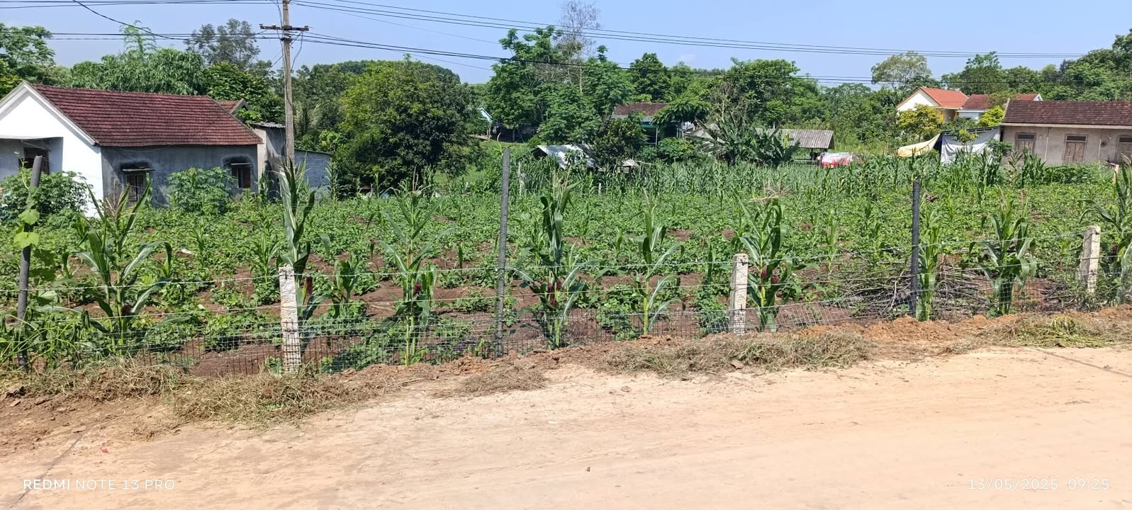 Đất nền Nghĩa Thọ 1050m² giá chỉ 700 triệu - Đầu tư sinh lời ngay!