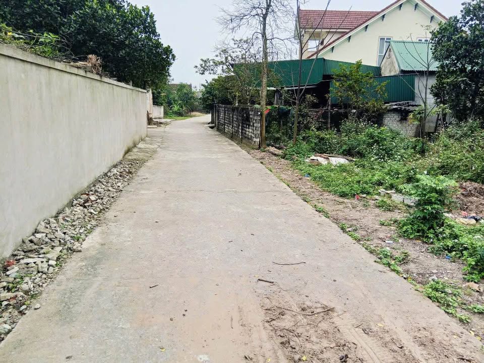 Đất Nghi Thái, Nghi Lộc, Nghệ An 174m² giá 2.4 tỷ - Sổ hồng riêng, ô tô tránh nhau