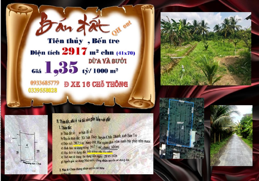 Đất Tiên Thủy Châu Thành Bến Tre 2917m² giá 3.938 tỷ - Đầu tư sinh lời ngay!