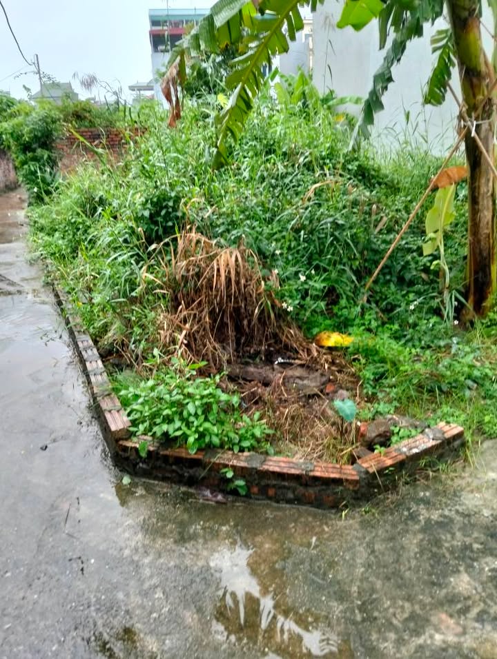 Đất Phúc Lợi lô góc 46m² giá 4 tỷ - An ninh siêu đỉnh, tiện ích đầy đủ!