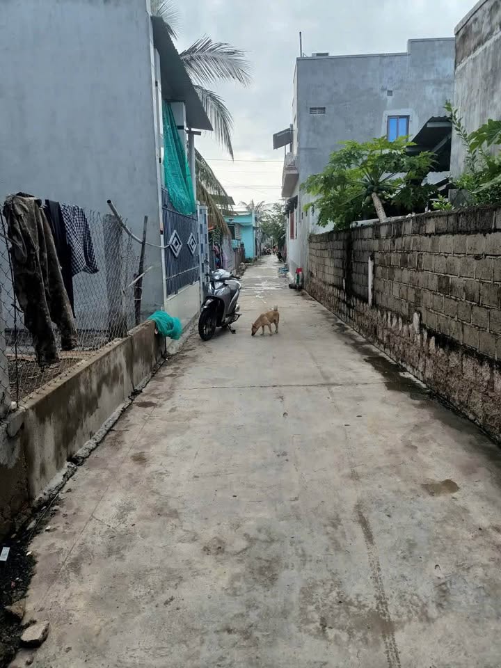 Đất ở Phương Cựu 2, Ninh Hải 95m² giá 630 triệu - Cơ hội đầu tư lý tưởng!