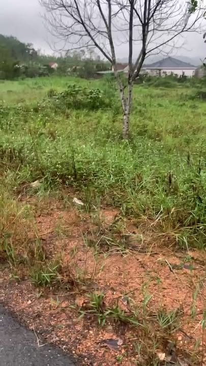 Đất nền chính chủ xã Nam Nghĩa, 140m² giá chỉ 7xx triệu - Cơ hội đầu tư hấp dẫn!