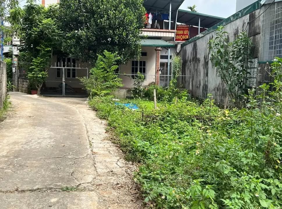 Đất thổ cư tổ 13 phường Ỷ La 84m² giá 1 tỷ - Chính chủ cần bán gấp!