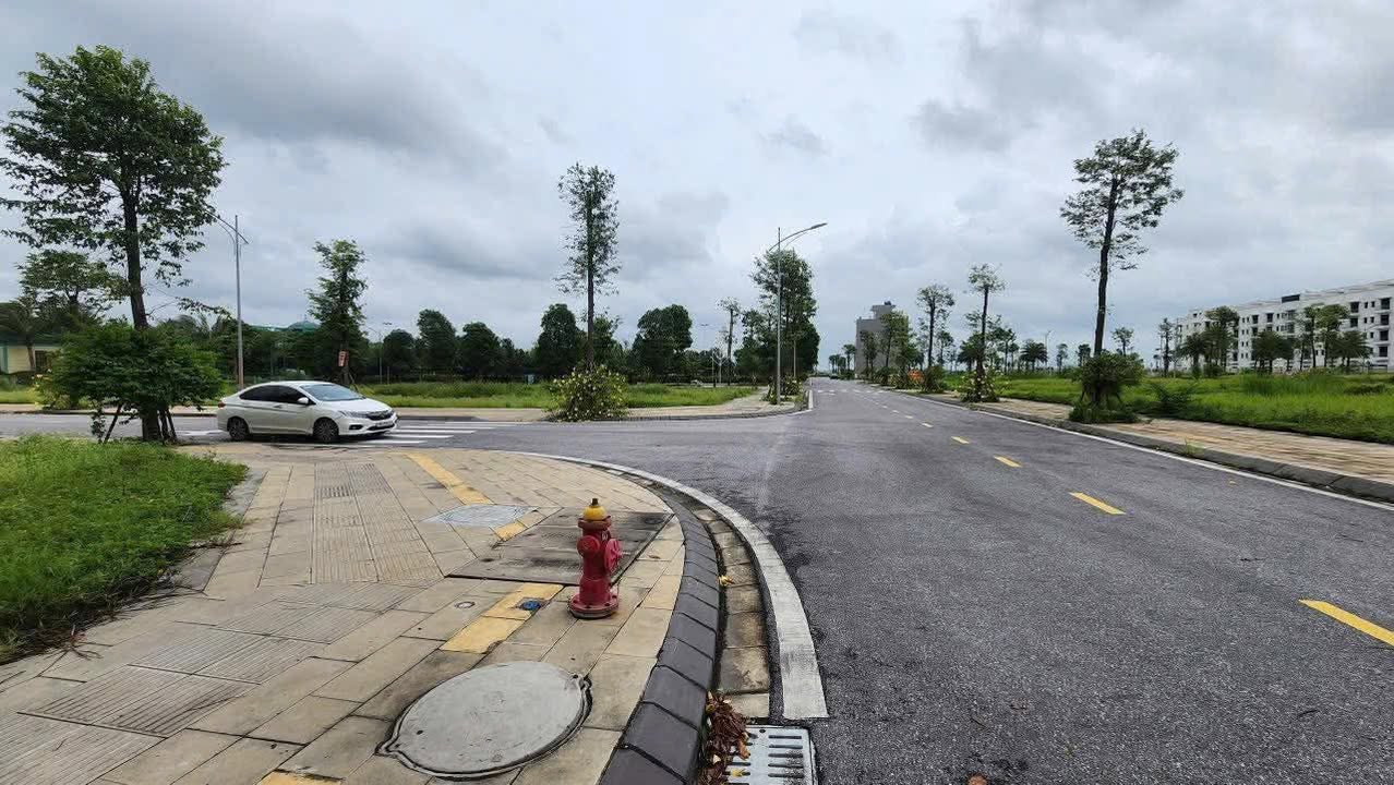 Đất nền Dương Húc - Đại Đồng 105m² giá 4 tỷ - View công viên tuyệt đẹp!