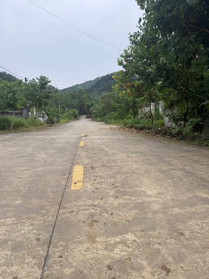 Đất thổ cư 2 mặt tiền Phường Yên Sơn, TP Tam Điệp 200m² - Vị trí đẹp, giá thỏa thuận!