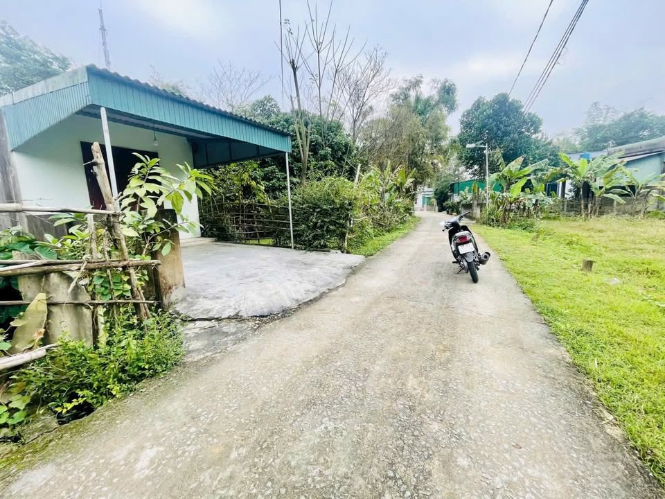 Đất thổ cư thôn Tân Hòa, Tân Lâm Hương 232m² giá 1,3 tỷ - Nơi an cư lý tưởng!