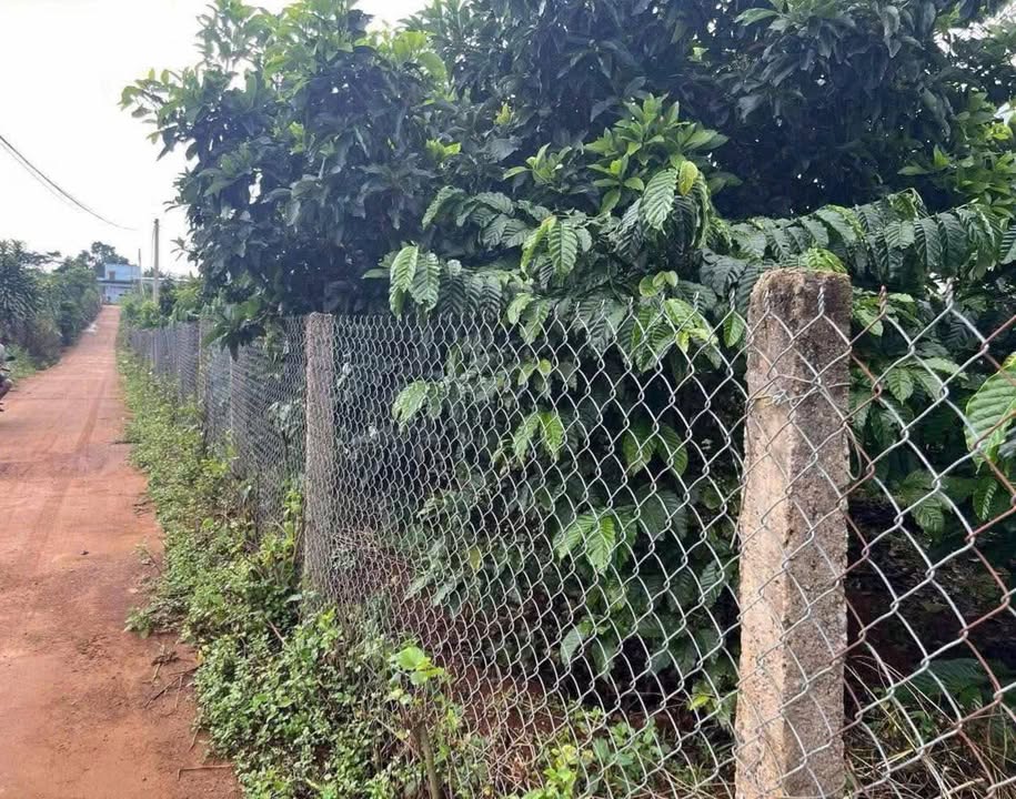 Đất nền Bãi Công - Nam Ban, Đà Lạt 640m² giá 1.35 tỷ - Tiềm năng đầu tư hấp dẫn!