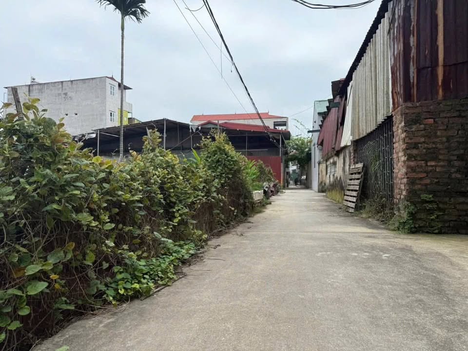 Đất nền Hương Mạc, Từ Sơn 45m² giá 1.55 tỷ - Đầu tư sinh lời ngay!