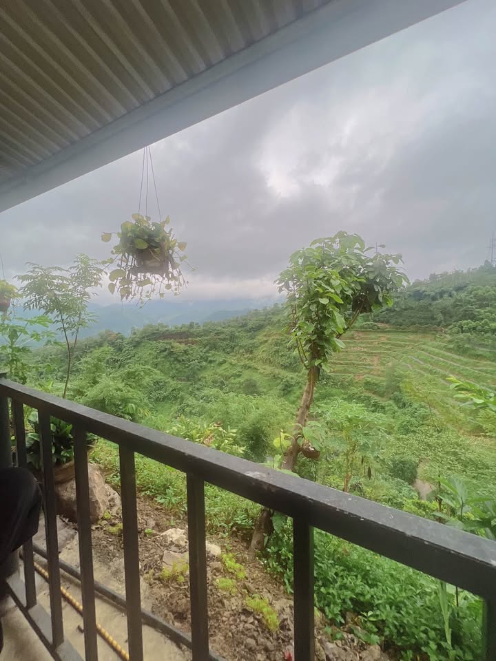 Đất nền Hòa Bình 110m² giá thỏa thuận - Đường ô tô thông thoáng, hai mặt tiền!