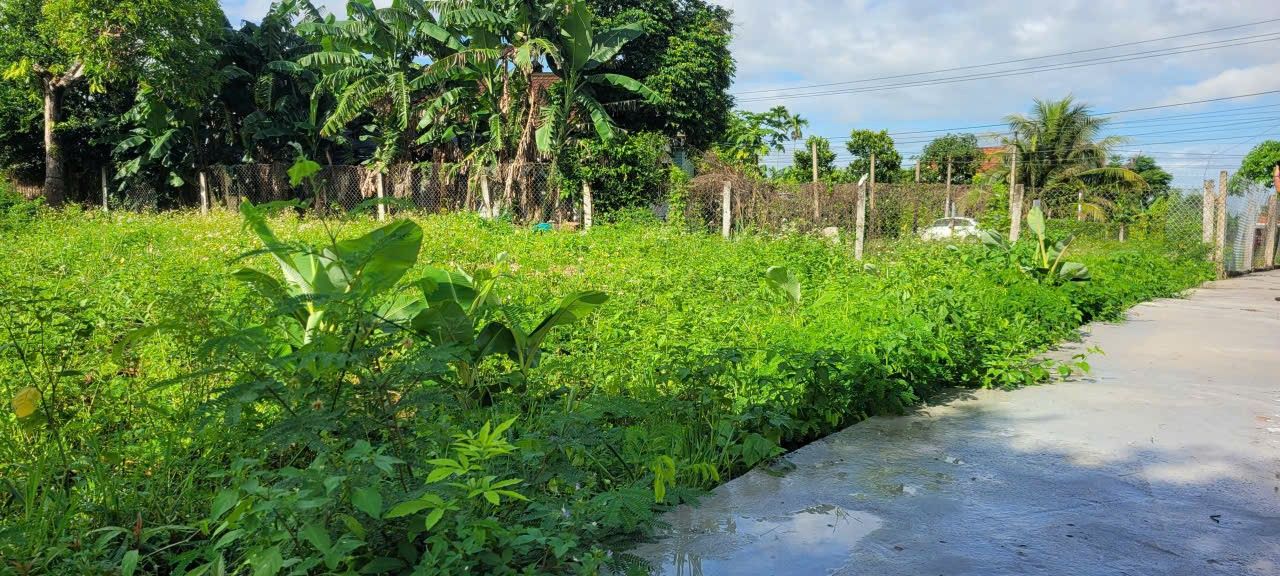 Đất nền Phú Khánh, Hòa Tân Tây 115m² giá chỉ 3xx triệu - Cơ hội đầu tư tuyệt vời!