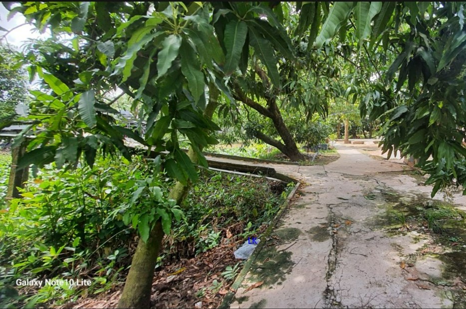 Nhà vườn 2484m² tại Mỹ Xương, Đồng Tháp giá 1.55 tỷ - Đầu tư sinh lời!