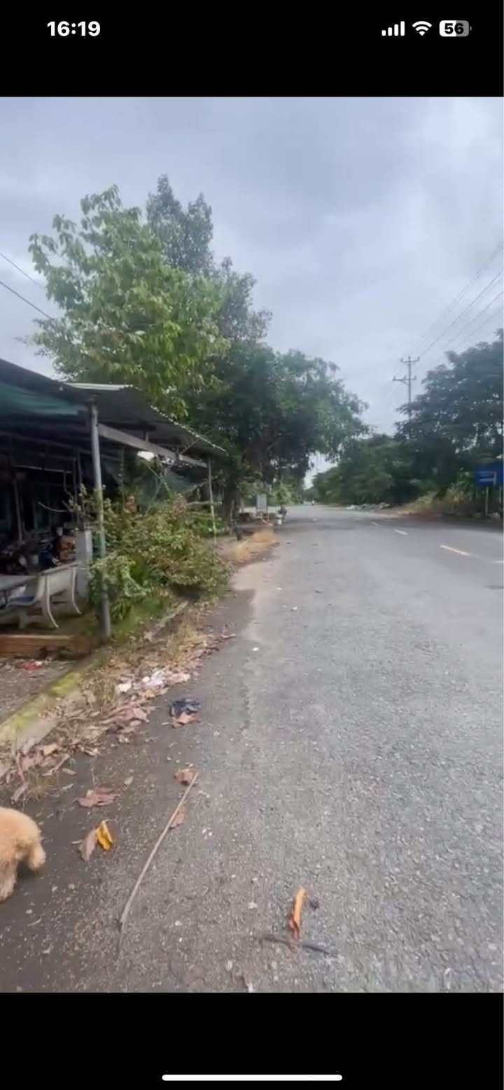 Nhà mặt tiền Bình Hiệp A, Lấp Vò, 120m² giá 980 triệu - Cơ hội kinh doanh tuyệt vời!