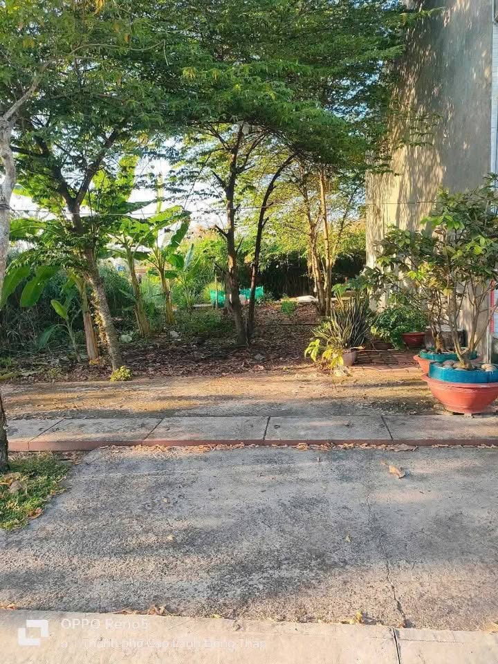 Đất nền đẹp KDC P.6 TP. Cao Lãnh 63m² giá 1.35 tỷ - Cơ hội đầu tư lý tưởng!