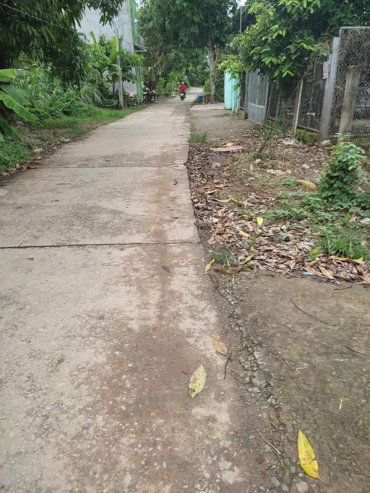 Đất nền đường Bà Huyện Thanh Quan, xã Hòa An, Cao Lãnh 186m² giá 1 tỷ - Cơ hội đầu tư hấp dẫn!