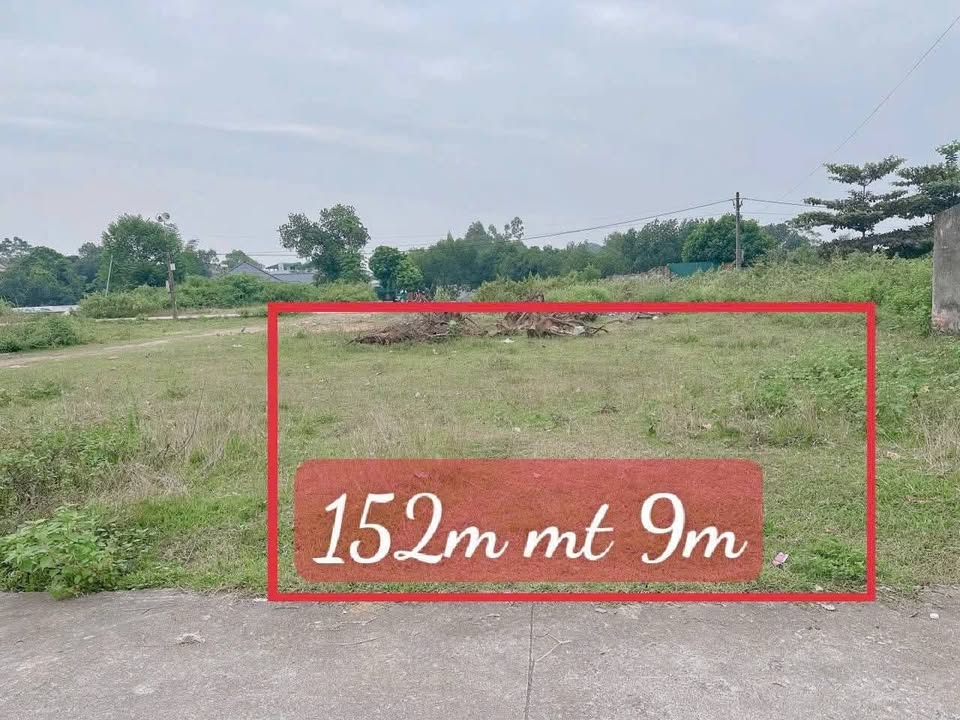 Đất thổ cư 152.5m² Thụy Vân, giá 1.98 tỷ - Sổ đỏ chính chủ!