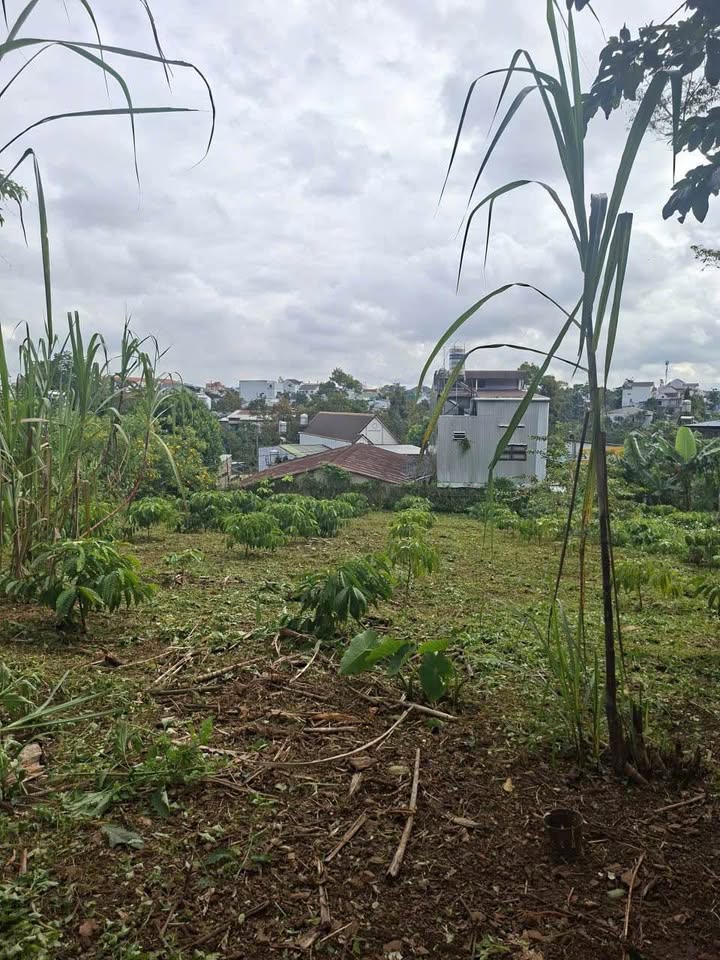 Đất nền Bảo Lộc 662m² giá 4.6 tỷ - Vị trí đắc địa, kinh doanh hiệu quả!