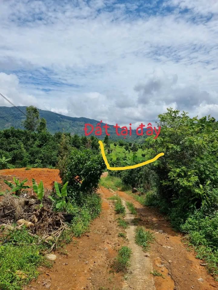 Đất Lộc Nam Bảo Lộc 4792m² giá 2.5 tỷ - Cơ hội đầu tư tuyệt vời!