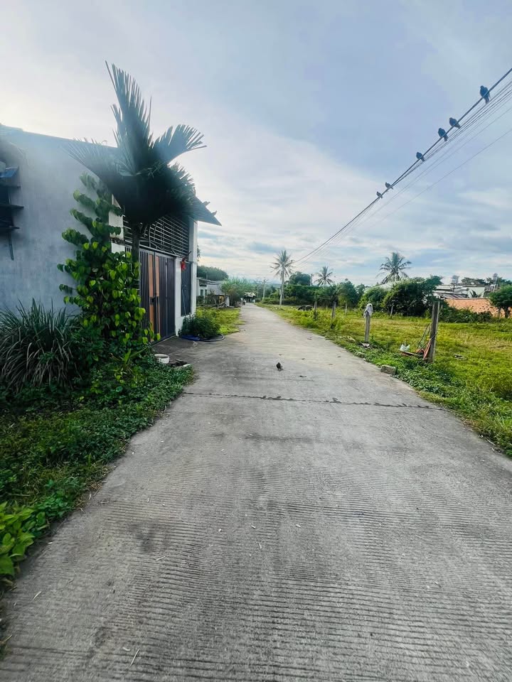 Đất thổ cư 240m² tại thôn 4, xã Đăk Cấm - Giá chỉ 5xx triệu, nhanh tay sở hữu!