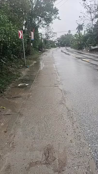 Đất Quốc lộ Đô Lương 217m² giá 2.4 tỷ - Nở hậu thuận lợi cho đầu tư!