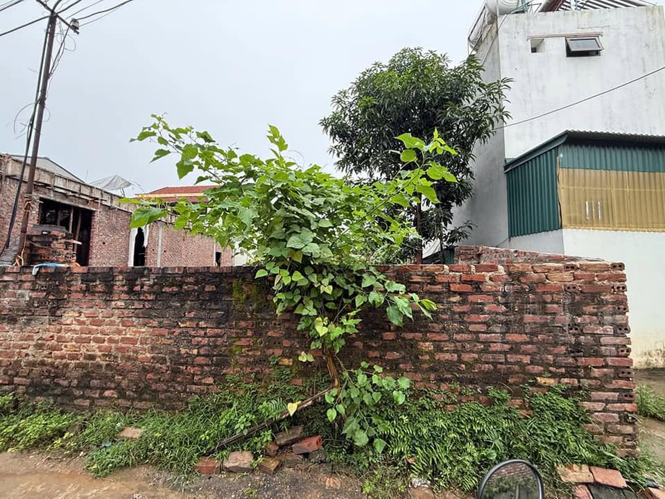 Đất nền Minh Nông, Việt Trì 88m² giá 1.5 tỷ - Đầu tư sinh lời ngay!