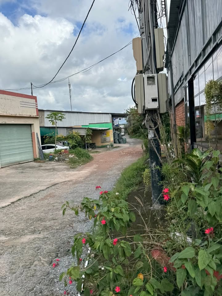 Đất nền thổ cư 197,5m² tại hẻm Thư Thư, Bến Tre - Vị trí vàng cách bùng binh chỉ 150m!