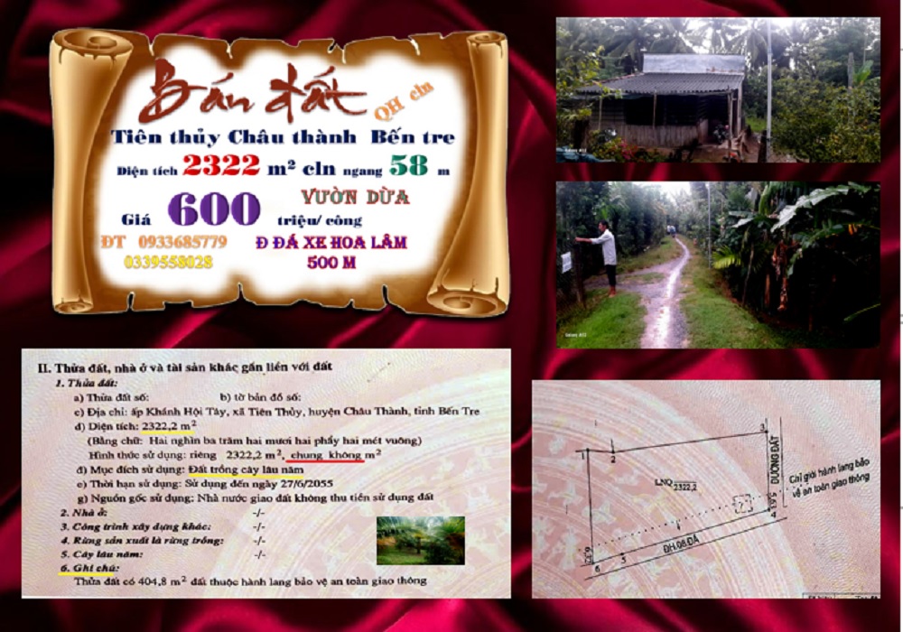 Đất vườn dừa Tiên Thủy Châu Thành 2322m² giá 1.4 tỷ - Đầu tư sinh lời ngay!