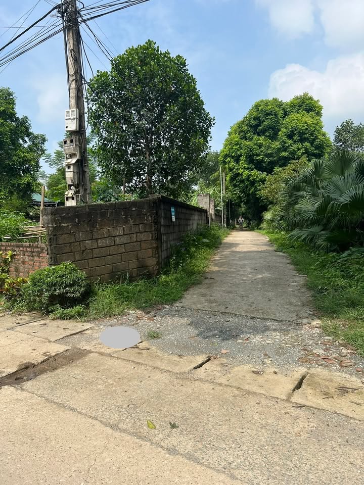 Đất 2 mặt tiền đường Phan Đình Giót 400m² - Giá thoả thuận - Cơ hội đầu tư tốt!