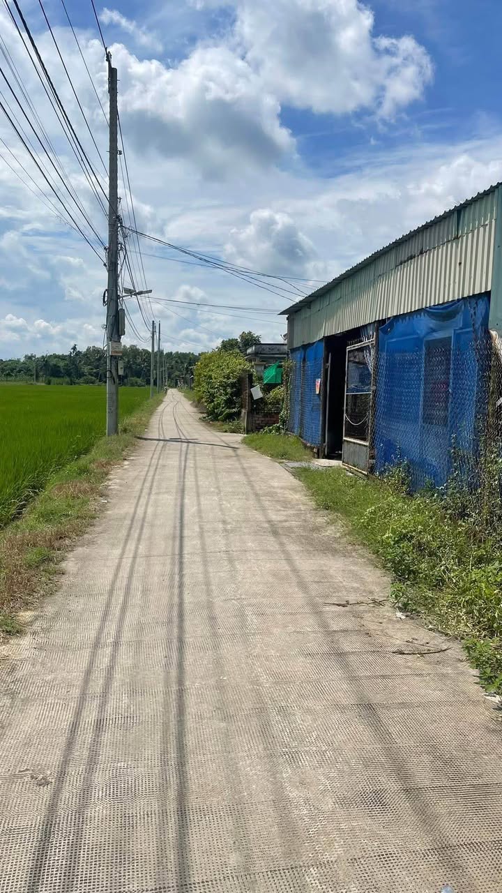 Đất nền thổ cư 179m² Nhựt Chánh, Bến Lức - Đầu tư sinh lời chỉ 860 triệu!