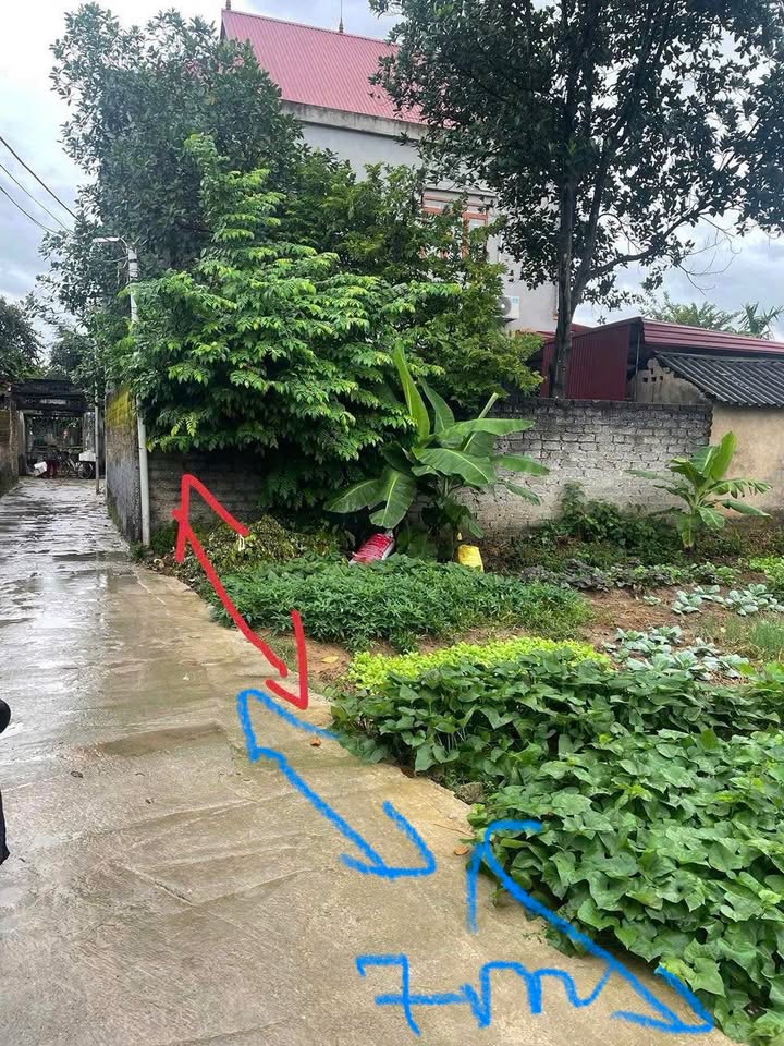 Đất thổ cư Tự Lạn, Việt Yên 120m² giá chỉ 6xx triệu - Tiện ích đầy đủ!