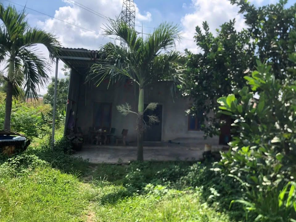 Mảnh vườn 2300m² tại Cao Xá, Tân Yên, Bắc Giang - Giá chỉ 2.1 tỷ!