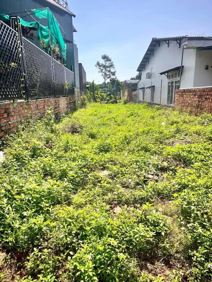 Lô đất mặt tiền đường Hai Bà Trưng Đắk Mil 234m² giá 2.1 tỷ - Đầu tư sinh lời hấp dẫn!